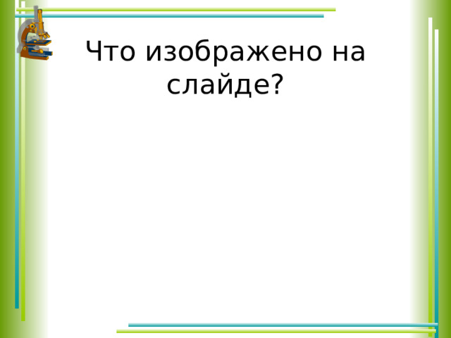 Что изображено на слайде? 