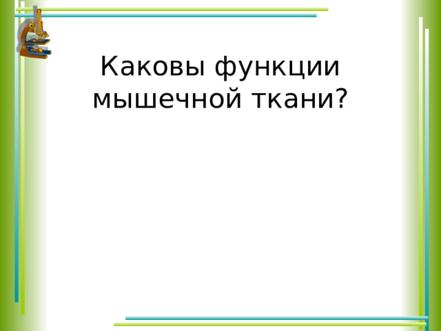 Каковы функции мышечной ткани? 