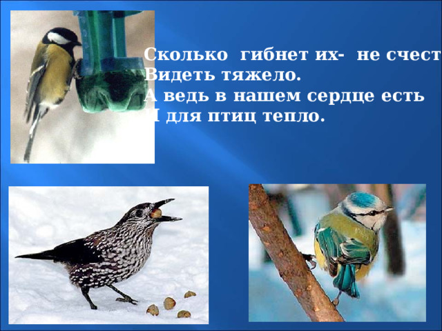 Сколько гибнет их- не счесть, Видеть тяжело. А ведь в нашем сердце есть И для птиц тепло. 