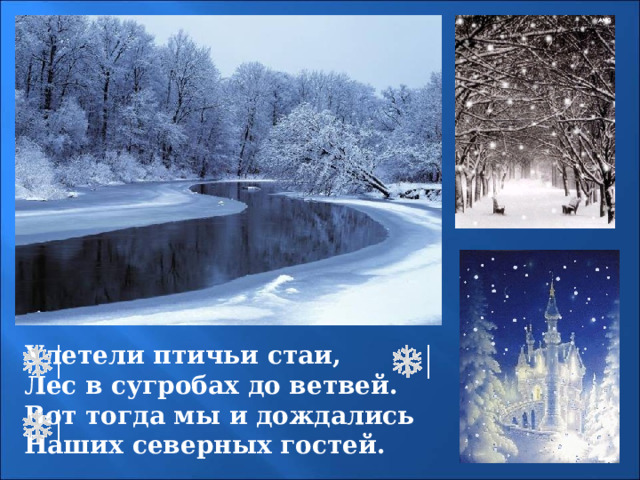 Улетели птичьи стаи, Лес в сугробах до ветвей. Вот тогда мы и дождались Наших северных гостей. 