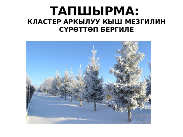 ТАПШЫРМА: КЛАСТЕР АРКЫЛУУ КЫШ МЕЗГИЛИН СҮРӨТТӨП БЕРГИЛЕ  