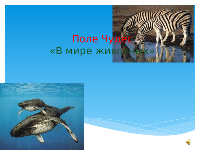 Поле Чудес «В мире животных» 