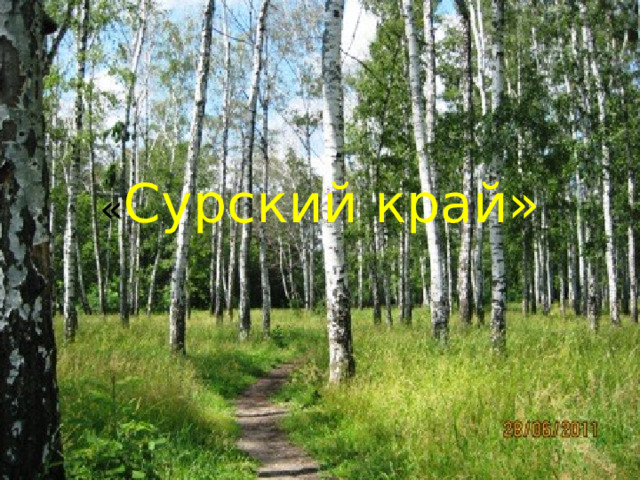 « Сурский край» 