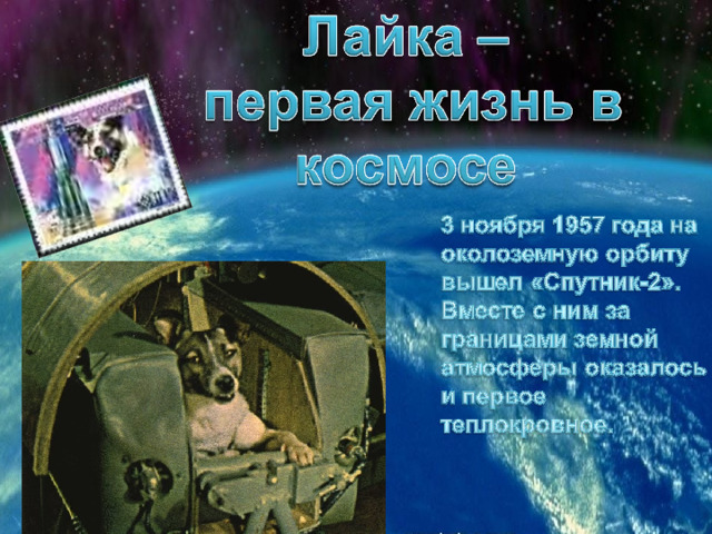 Первый искусственный спутник Земли (Спутник-1). 