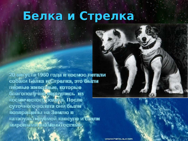 . Белка и Стрелка 