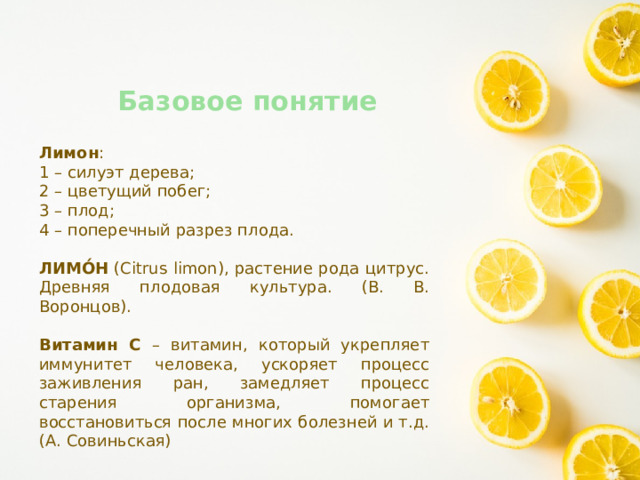Базовое понятие Лимон : 1 – силуэт дерева; 2 – цветущий побег; 3 – плод; 4 – поперечный разрез плода.   ЛИМО́Н  (Citrus limon), растение рода цитрус. Древняя плодовая культура. (В. В. Воронцов).  Витамин С – витамин, который укрепляет иммунитет человека, ускоряет процесс заживления ран, замедляет процесс старения организма, помогает восстановиться после многих болезней и т.д. (А. Совиньская) 
