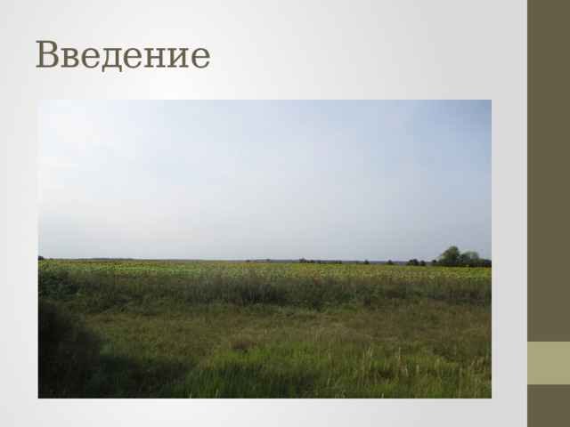 Введение 