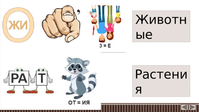 Животные Растения 