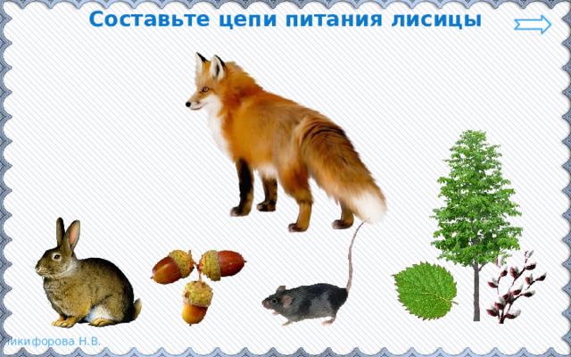 Составьте цепи питания лисицы 