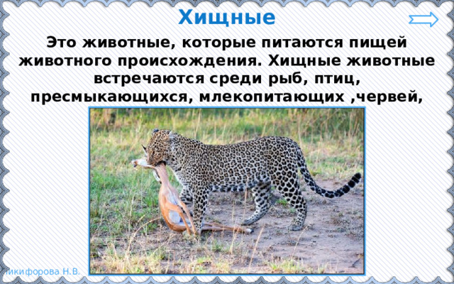 Хищные Это животные, которые питаются пищей животного происхождения. Хищные животные встречаются среди рыб, птиц, пресмыкающихся, млекопитающих ,червей, насекомых. 