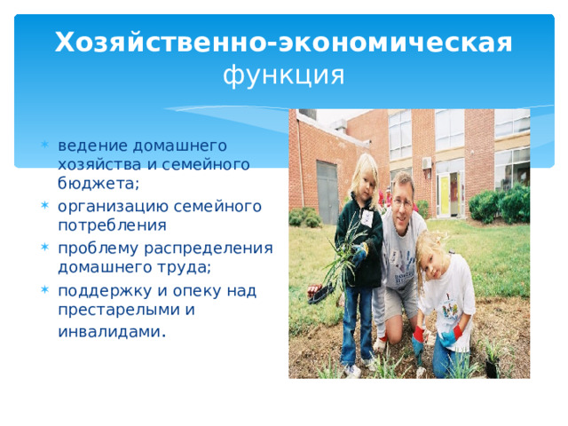 Хозяйственно-экономическая функция ведение домашнего хозяйства и семейного бюджета; организацию семейного потребления проблему распределения домашнего труда; поддержку и опеку над престарелыми и инвалидами . 
