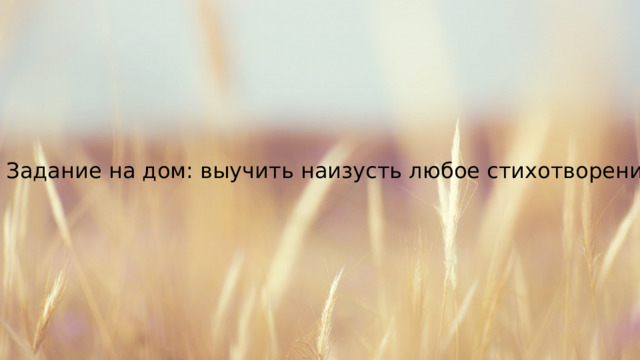 Задание на дом: выучить наизусть любое стихотворение 