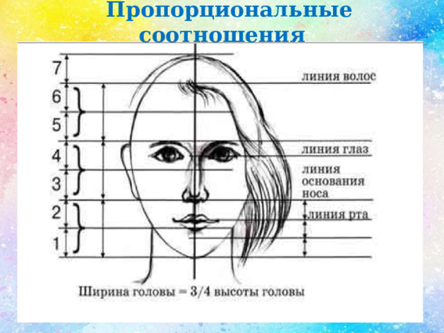  Пропорциональные соотношения 