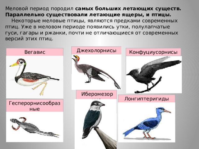 Меловой период породил самых больших летающих существ.  Параллельно существовали летающие ящеры, и птицы.      Некоторые меловые птицы, являются предками современных птиц. Уже в меловом периоде появились утки, полулапчатые гуси, гагары и ржанки, почти не отличающиеся от современных версий этих птиц. Джехолорнисы Вегавис Конфуциусорнисы   Иберомезорнис Лонгиптеригиды Гесперорнисообразные 