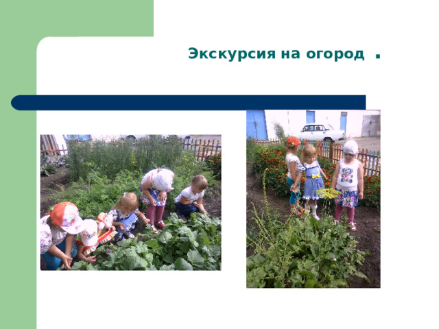 Экскурсия на огород . 