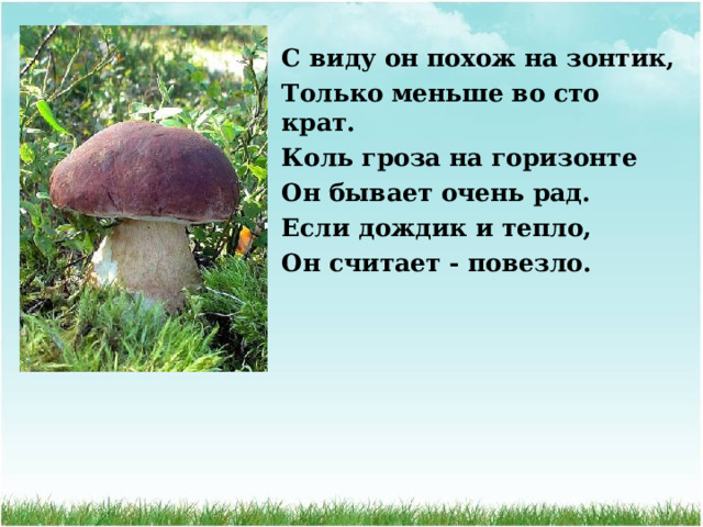 С виду он похож на зонтик, Только меньше во сто крат.   Коль гроза на горизонте Он бывает очень рад. Если дождик и тепло, Он считает - повезло.   