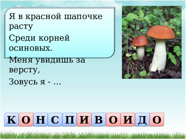 Я в красной шапочке расту Среди корней осиновых. Меня увидишь за версту, Зовусь я - ... П С Н О К О В И О Д И 