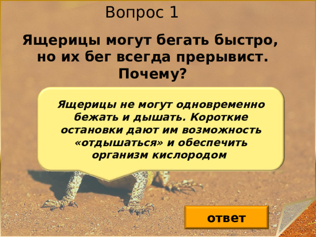 Вопрос 1 Ящерицы могут бегать быстро, но их бег всегда прерывист. Почему? Ящерицы не могут одновременно бежать и дышать. Короткие остановки дают им возможность «отдышаться» и обеспечить организм кислородом  ответ 2 