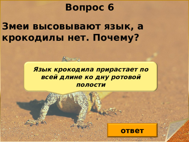 Вопрос 6 Змеи высовывают язык, а крокодилы нет. Почему? Язык крокодила прирастает по всей длине ко дну ротовой полости ответ 7 