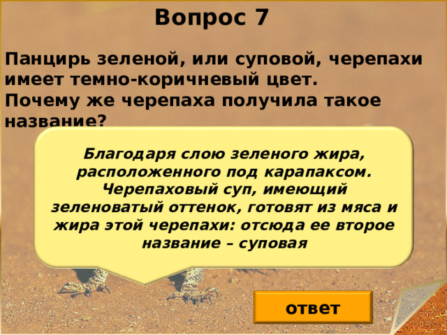 Вопрос 7 Панцирь зеленой, или суповой, черепахи имеет темно-коричневый цвет. Почему же черепаха получила такое название? Благодаря слою зеленого жира, расположенного под карапаксом. Черепаховый суп, имеющий зеленоватый оттенок, готовят из мяса и жира этой черепахи: отсюда ее второе название – суповая ответ 8 