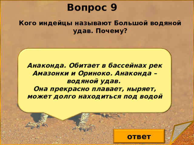    Вопрос 9 Кого индейцы называют Большой водяной удав. Почему? Анаконда. Обитает в бассейнах рек Амазонки и Ориноко. Анаконда – водяной удав. Она прекрасно плавает, ныряет, может долго находиться под водой ответ 10 