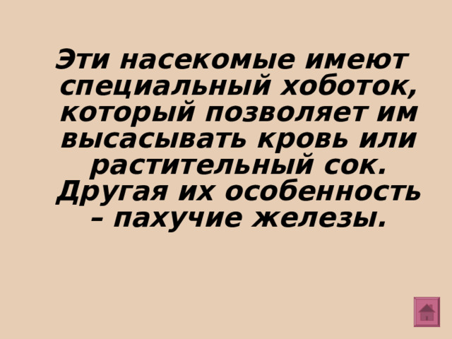 Эти насекомые имеют специальный хоботок, который позволяет им высасывать кровь или растительный сок. Другая их особенность – пахучие железы. 