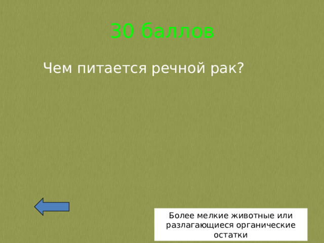30 баллов Чем питается речной рак? Более мелкие животные или разлагающиеся органические остатки 