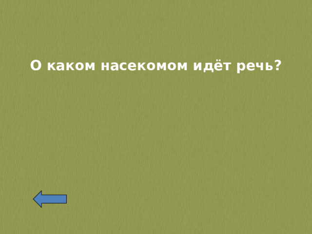 О каком насекомом идёт речь?   