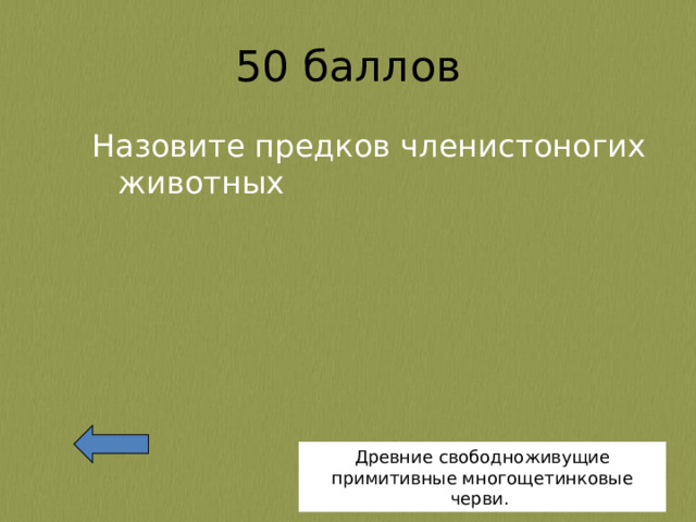 Назовите предков членистоногих животных Древние свободноживущие примитивные многощетинковые черви. 