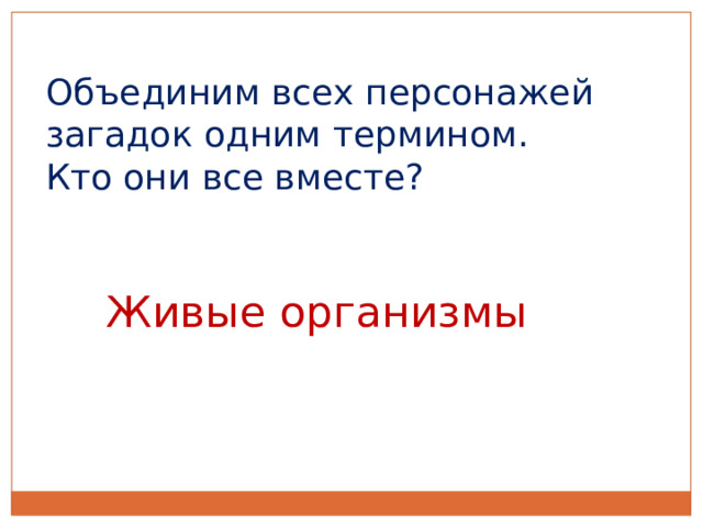 Объединим всех персонажей загадок одним термином. Кто они все вместе? Живые организмы 