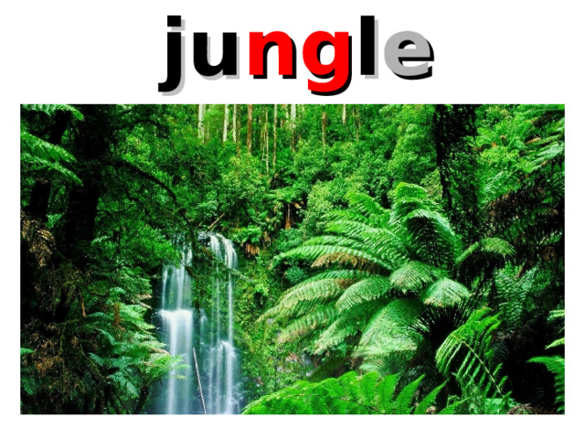 ju ng l e 