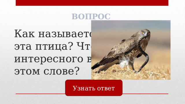 ВОПРОС Как называется  эта птица? Что  интересного в  этом слове? Узнать ответ 