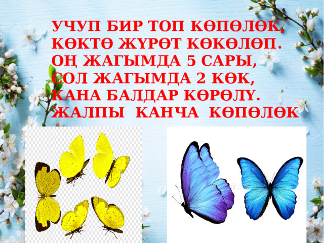 УЧУП БИР ТОП КӨПӨЛӨК, КӨКТӨ ЖҮРӨТ КӨКӨЛӨП. ОҢ ЖАГЫМДА 5 САРЫ, СОЛ ЖАГЫМДА 2 КӨК, КАНА БАЛДАР КӨРӨЛҮ. ЖАЛПЫ КАНЧА КӨПӨЛӨК 