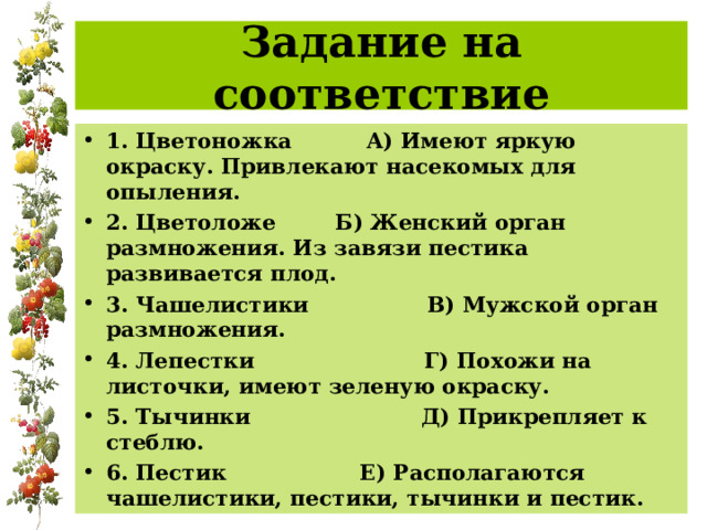Задание на соответствие 1. Цветоножка А) Имеют яркую окраску. Привлекают насекомых для опыления. 2. Цветоложе Б) Женский орган размножения. Из завязи пестика развивается плод. 3. Чашелистики В) Мужской орган размножения. 4. Лепестки Г) Похожи на листочки, имеют зеленую окраску. 5. Тычинки Д) Прикрепляет к стеблю. 6. Пестик Е) Располагаются чашелистики, пестики, тычинки и пестик.  