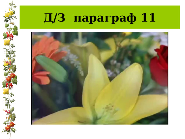 Д/З параграф 11 
