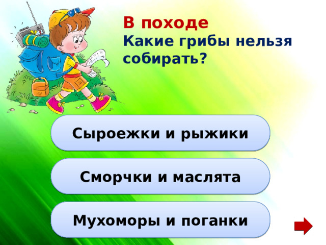 В походе Какие грибы нельзя собирать? Сыроежки и рыжики Сморчки и маслята Мухоморы и поганки 