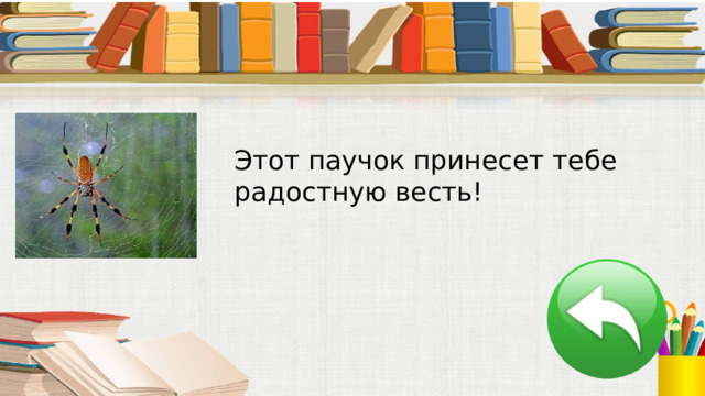 Этот паучок принесет тебе радостную весть! 