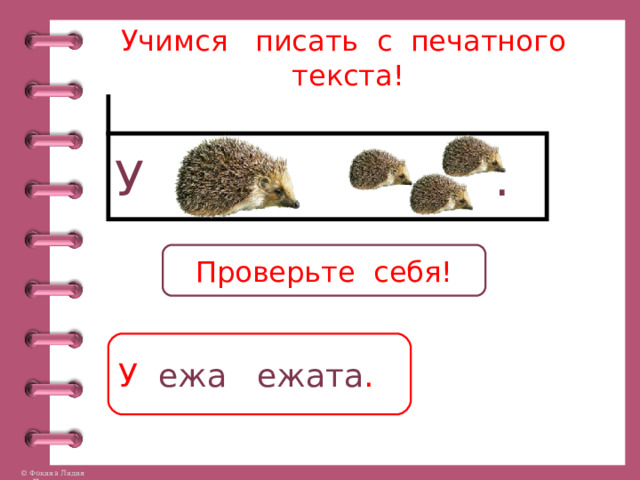 Учимся писать с печатного текста! У . Проверьте себя! У ежа ежата . 