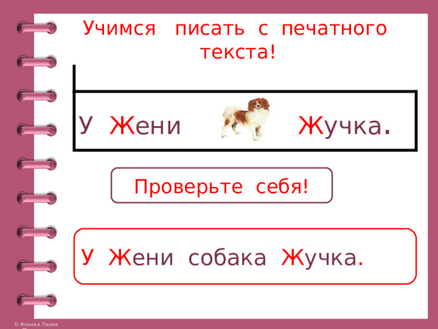 Учимся писать с печатного текста! У Ж ени Ж учка . Проверьте себя! У Ж ени  собака Ж учка . 