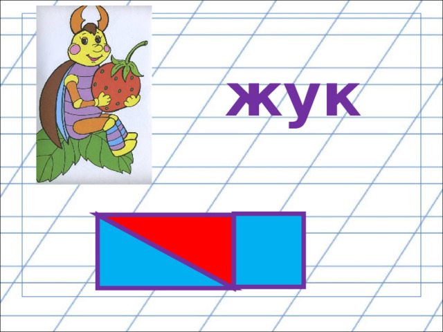 жук 