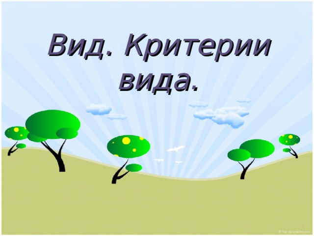 Вид. Критерии вида. 