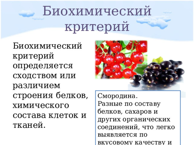 Биохимический критерий Биохимический критерий определяется сходством или различием строения белков, химического состава клеток и тканей. Смородина. Разные по составу белков, сахаров и других органических соединений, что легко выявляется по вкусовому качеству и запаху. 
