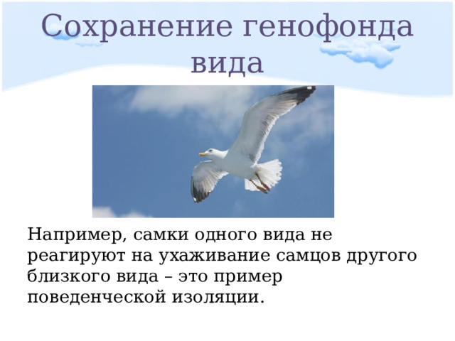 Сохранение генофонда вида Например, самки одного вида не реагируют на ухаживание самцов другого близкого вида – это пример поведенческой изоляции. 