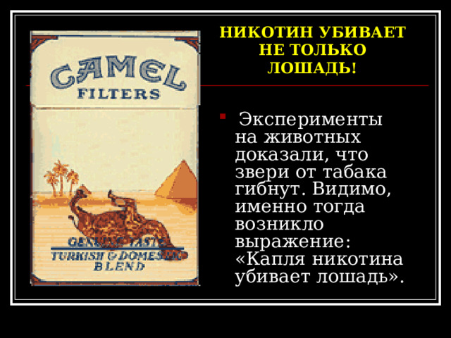 НИКОТИН УБИВАЕТ НЕ ТОЛЬКО ЛОШАДЬ!  Эксперименты на животных доказали, что звери от табака гибнут. Видимо, именно тогда возникло выражение: «Капля никотина убивает лошадь». 