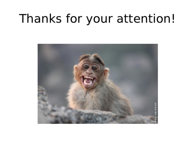 Thanks for your attention! 