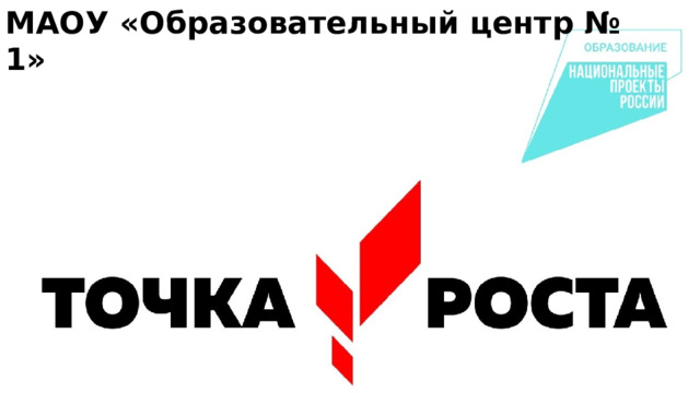 МАОУ «Образовательный центр № 1» 