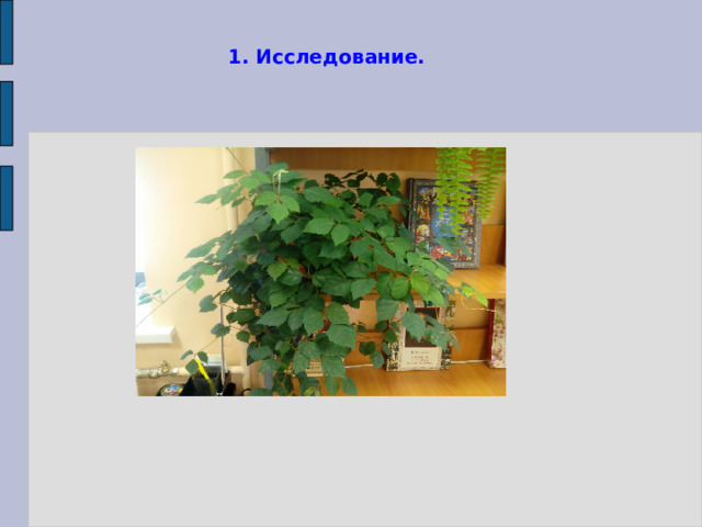 1. Исследование. 