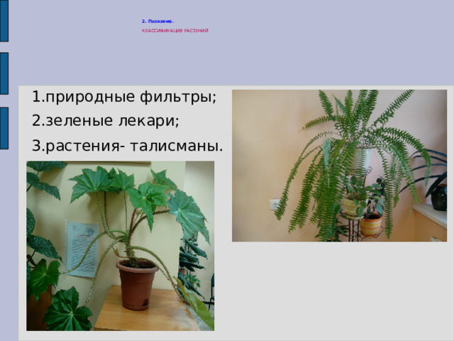 2. Познание. КЛАССИФИКАЦИЯ РАСТЕНИЙ  1.природные фильтры; 2.зеленые лекари; 3.растения- талисманы. 