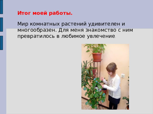 Итог моей работы. Мир комнатных растений удивителен и многообразен. Для меня знакомство с ним превратилось в любимое увлечение . 