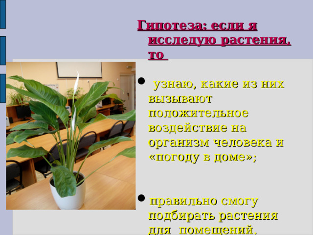Гипотеза: если я исследую растения, то   узнаю, какие из них вызывают положительное воздействие на организм человека и «погоду в доме»; правильно смогу подбирать растения для помещений. 